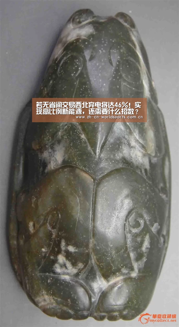 实时比分