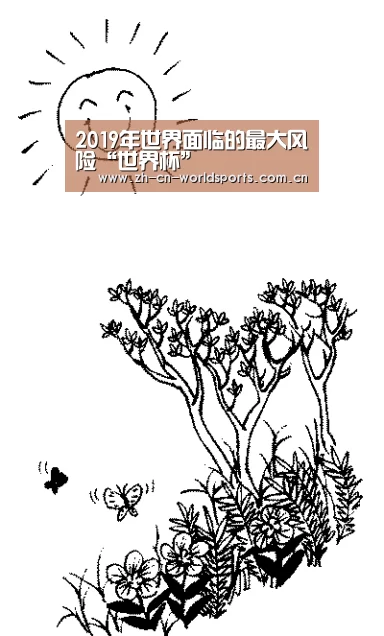 实时比分