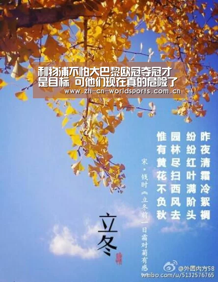 世界杯