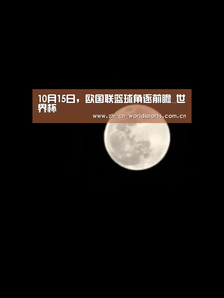 世界杯