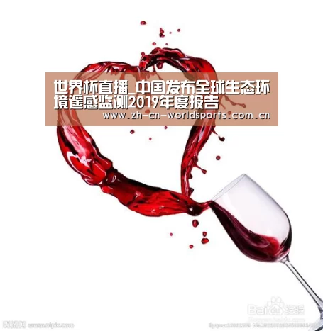 实时比分