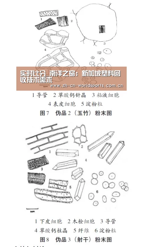 实时比分_南洋之窗:新加坡塑料回收技术需求(图2) 世界杯直播
