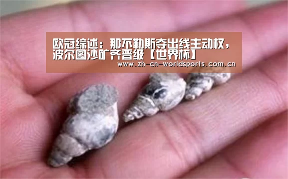 欧冠综述:那不勒斯夺出线主动权,波尔图沙矿齐晋级【世界杯】(图2) 比赛集锦